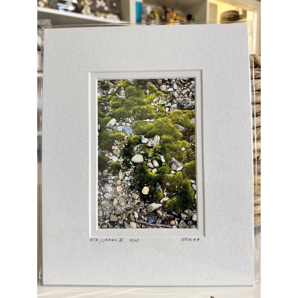Original Photography 5X7 Picture Double Matted For 8X10 Frame